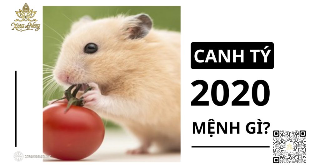 2020 mệnh gì