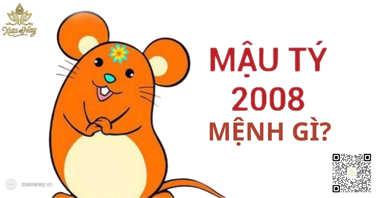 Người sinh năm 2008 thuộc mệnh gì?