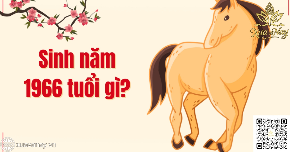 Năm sinh 1966 là tuổi gì