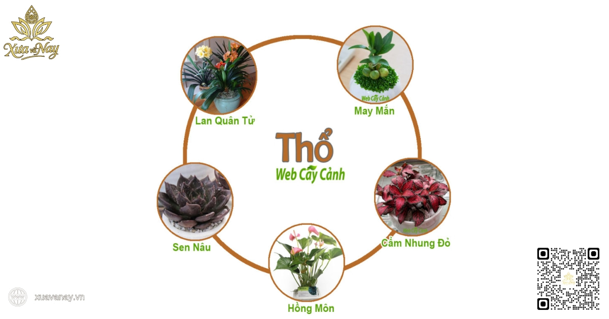 Cây phong thủy hợp mệnh Thổ