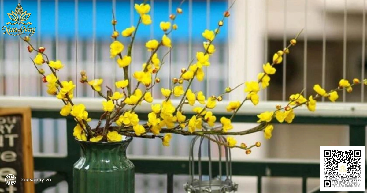 Mẫu cắm hoa mai vàng rực rỡ trang hoàng bàn thờ ngày Tết